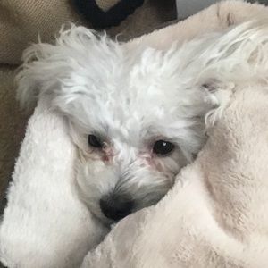 Meet your Posher, Barbara